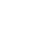 Nestcoin white